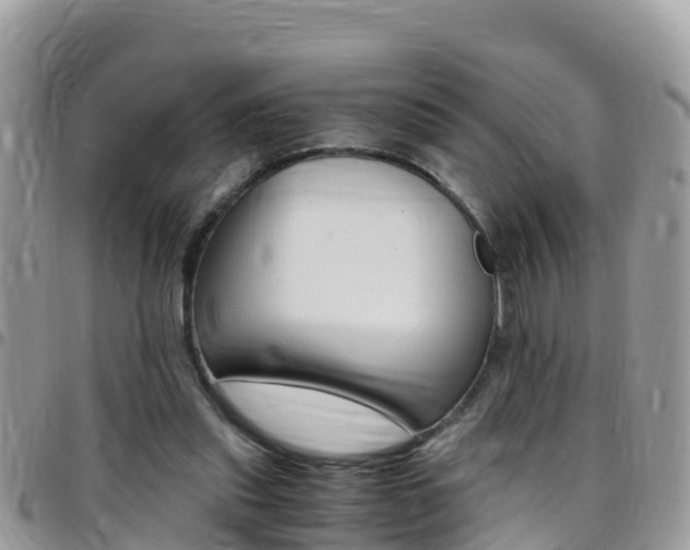 X0000096160253200801180857