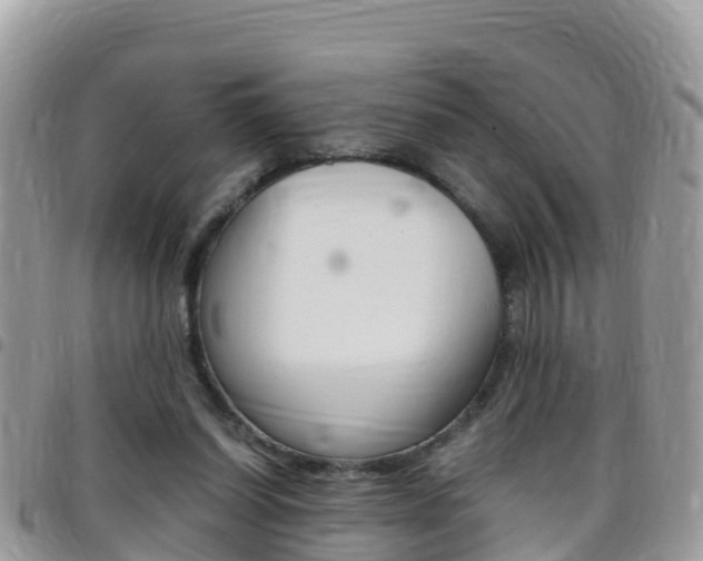 X0000096160254200801180857