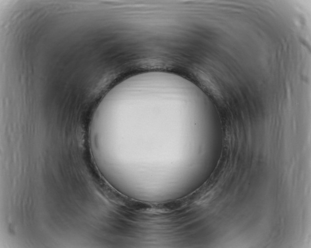 X0000096160255200801180857