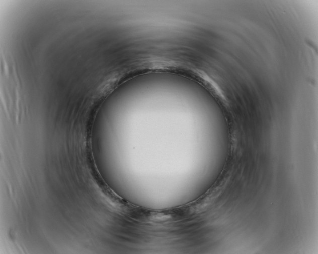 X0000096160257200801180857