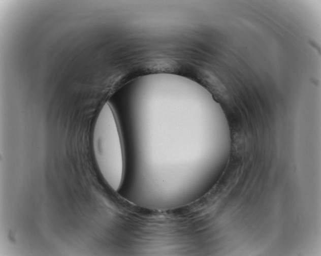 X0000096160259200801180857