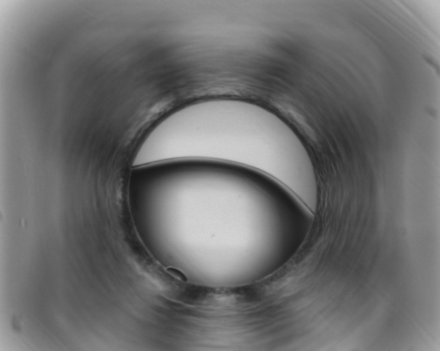 X0000096160260200801180858
