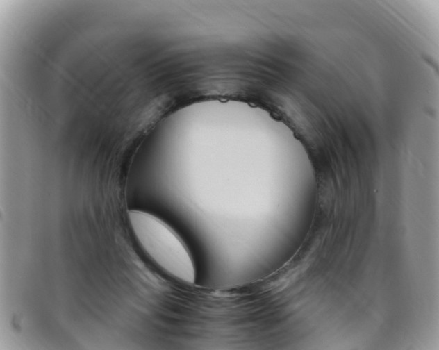 X0000096160261200801180858