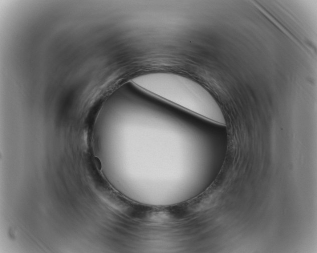 X0000096160262200801180858