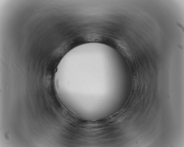 X0000096160263200801180858