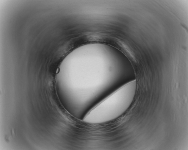 X0000096160265200801180858