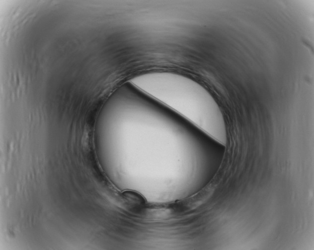 X0000096160266200801180858