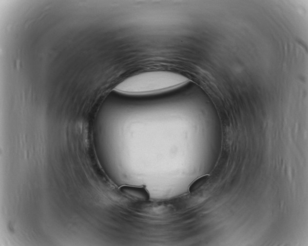 X0000096160267200801180858