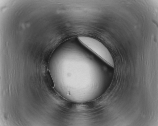 X0000096160268200801180858