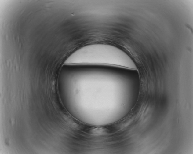 X0000096160269200801180858