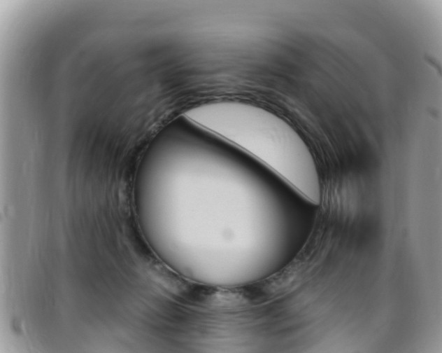 X0000096160270200801180858