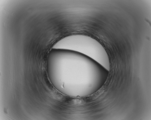 X0000096160272200801180858