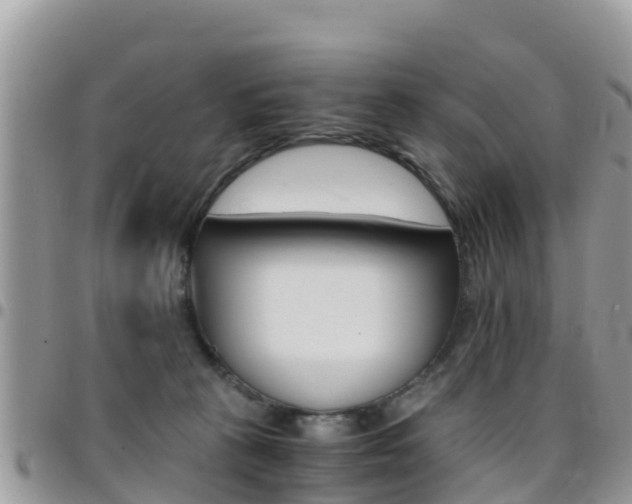 X0000096160273200801180858