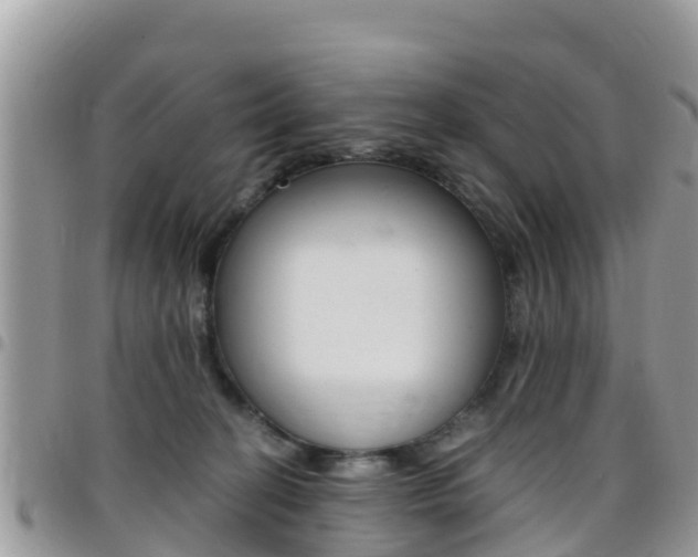 X0000096160274200801180858