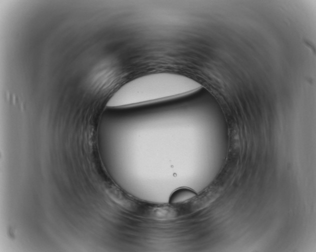 X0000096160275200801180858