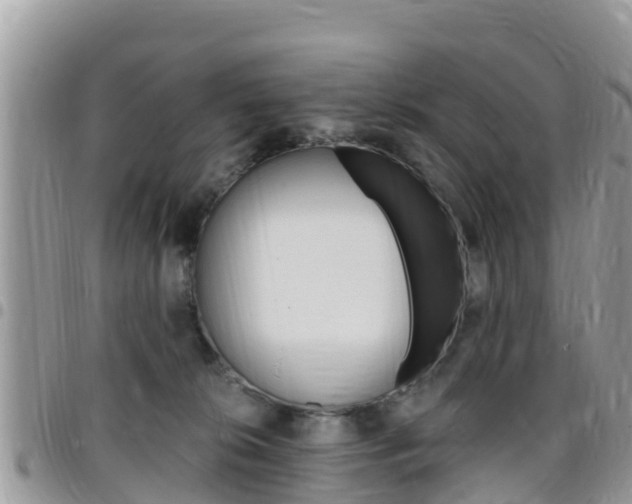 X0000096160276200801180858