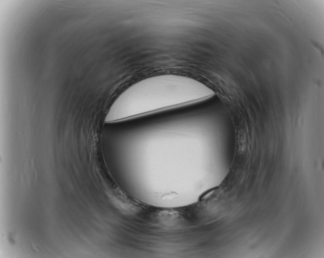 X0000096160279200801180858