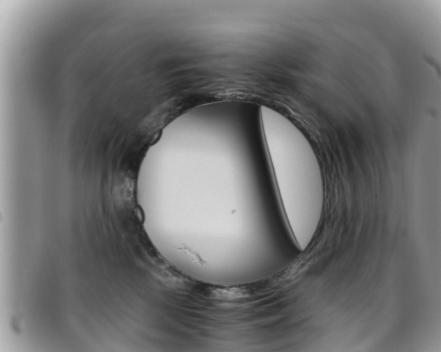 X0000096160281200801180858
