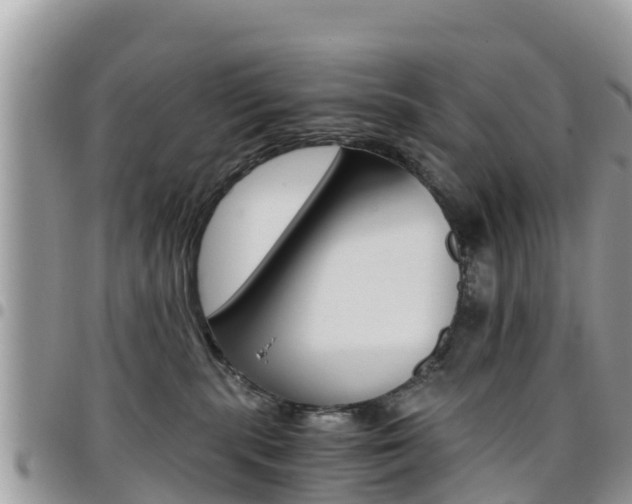 X0000096160283200801180858