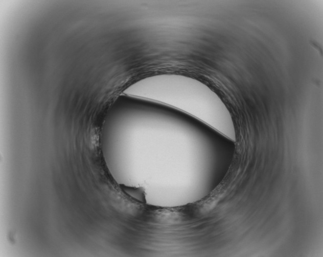X0000096160284200801180858