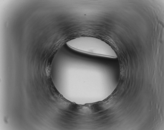 X0000096160285200801180858