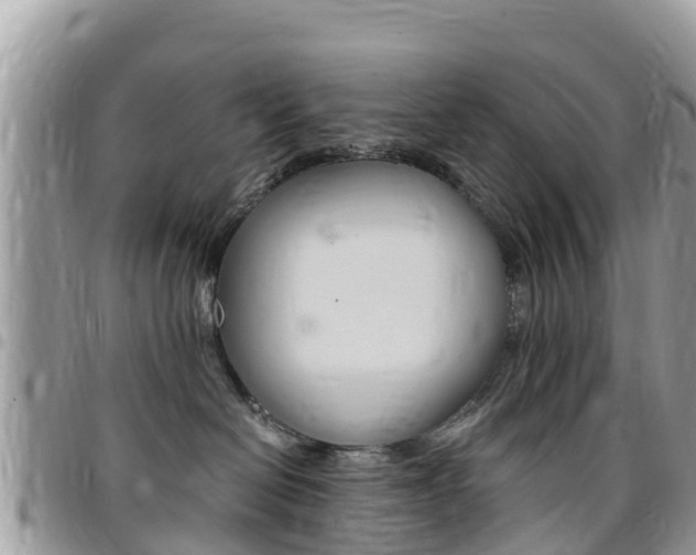 X0000096160286200801180858