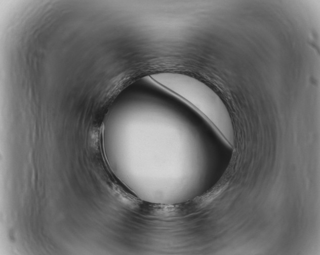 X0000096160288200801180858
