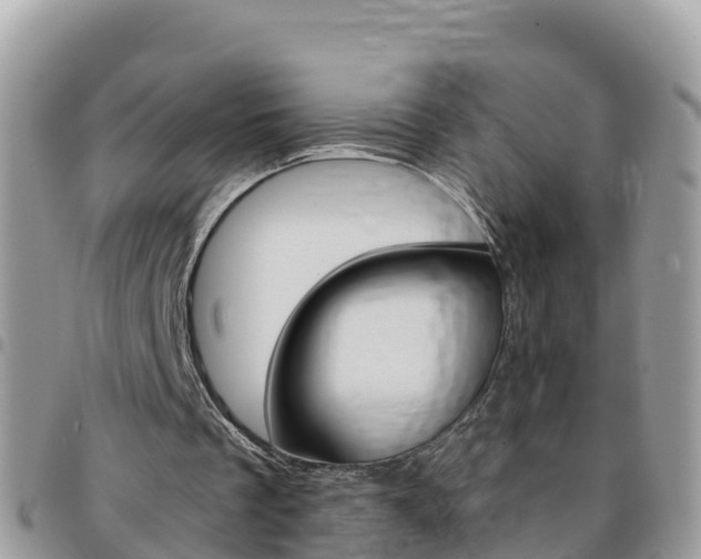 X0000096160289200801180857