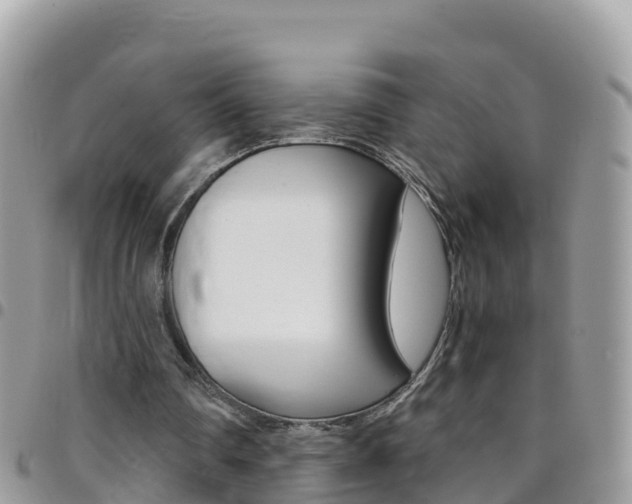 X0000096160290200801180857