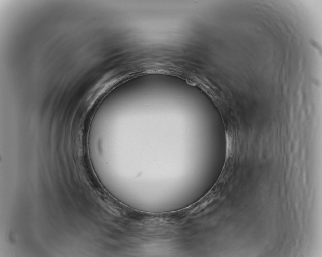 X0000096160291200801180857