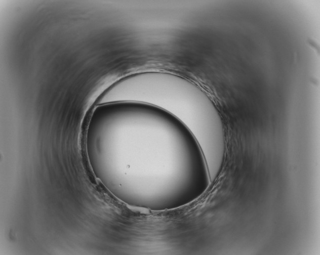 X0000096160292200801180857