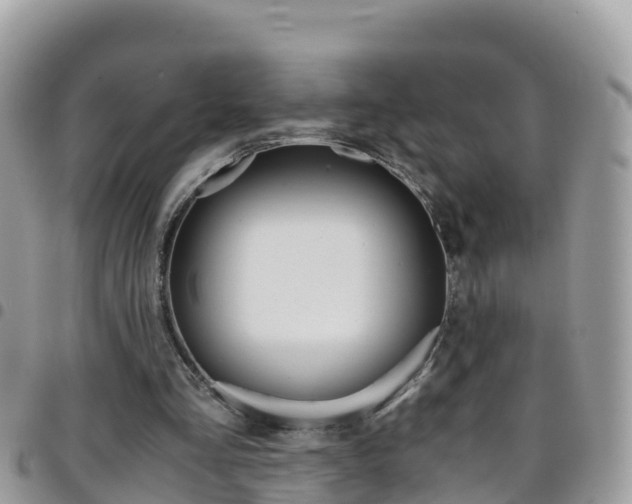 X0000096160293200801180857