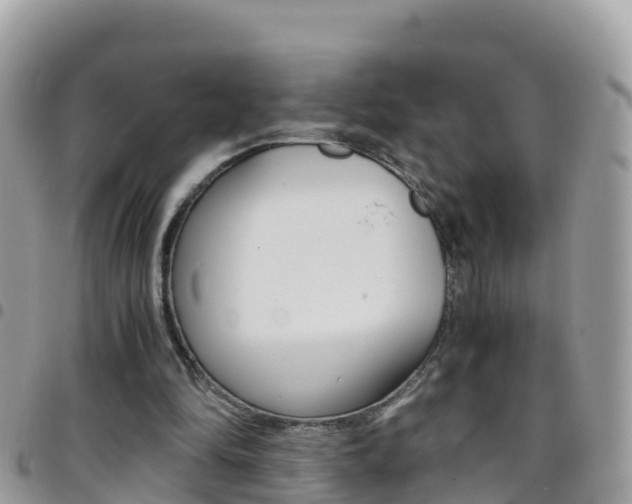 X0000096160294200801180857