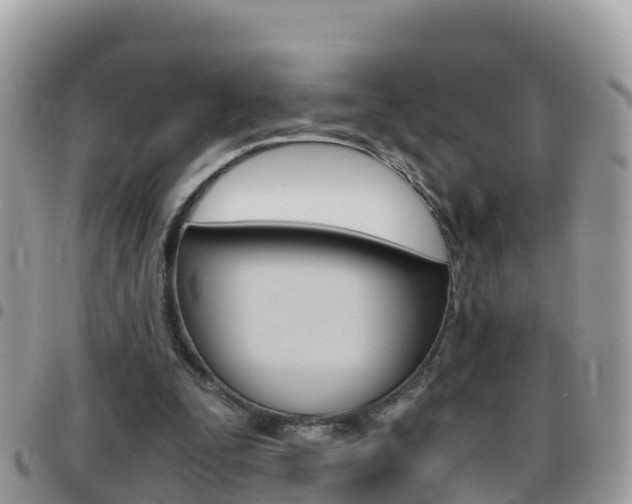 X0000096160295200801180857