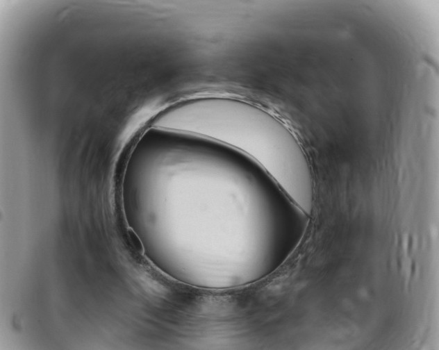 X0000096160296200801180857