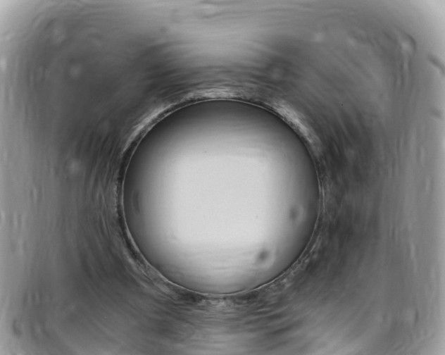 X0000096160297200801180857