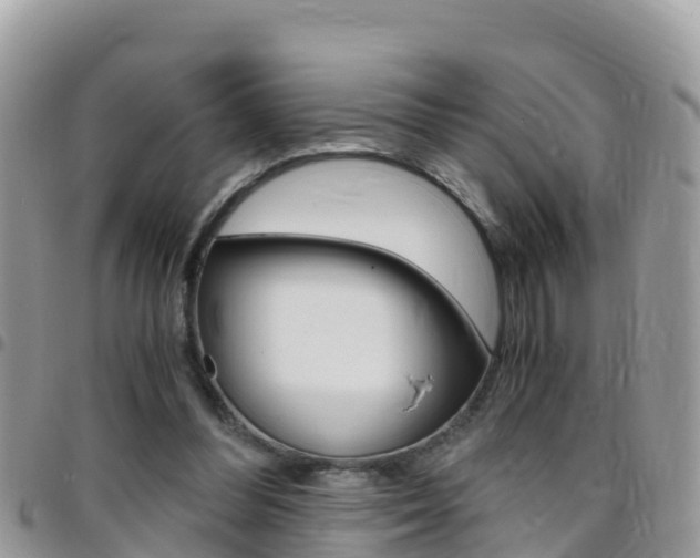 X0000096160300200801180857