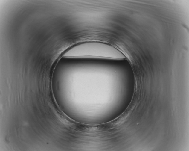 X0000096160301200801180857