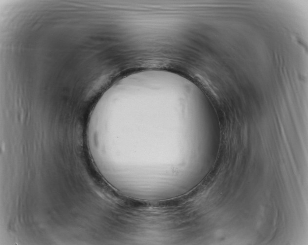 X0000096160303200801180857