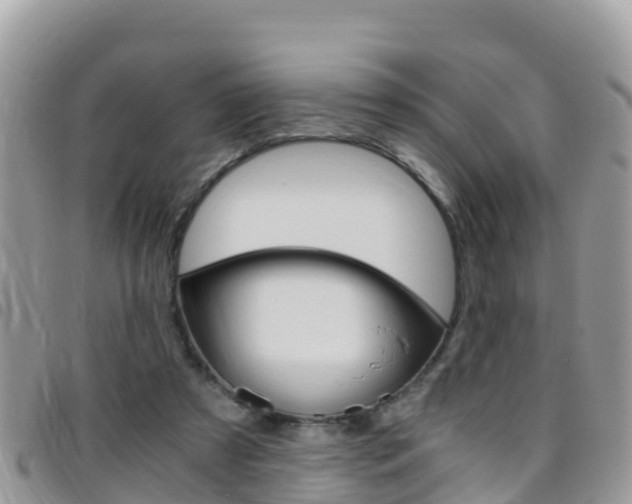 X0000096160305200801180857