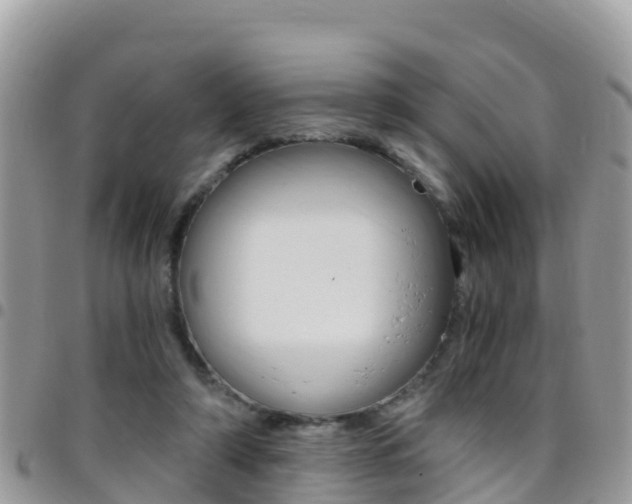 X0000096160306200801180857