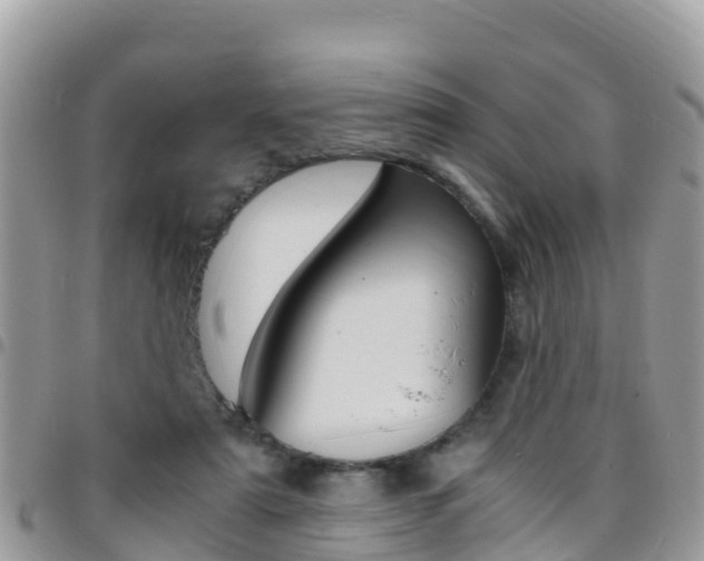 X0000096160307200801180857