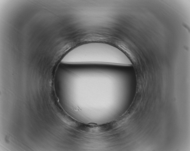 X0000096160309200801180857