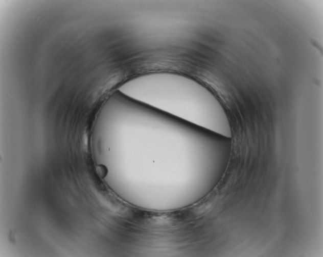 X0000096160310200801180857