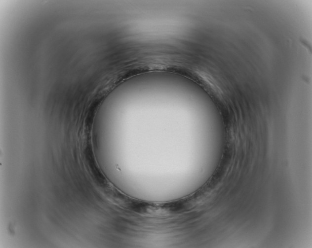 X0000096160311200801180857