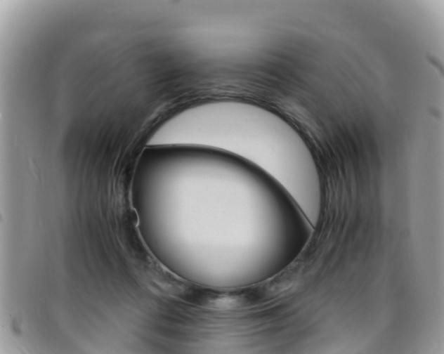 X0000096160312200801180857