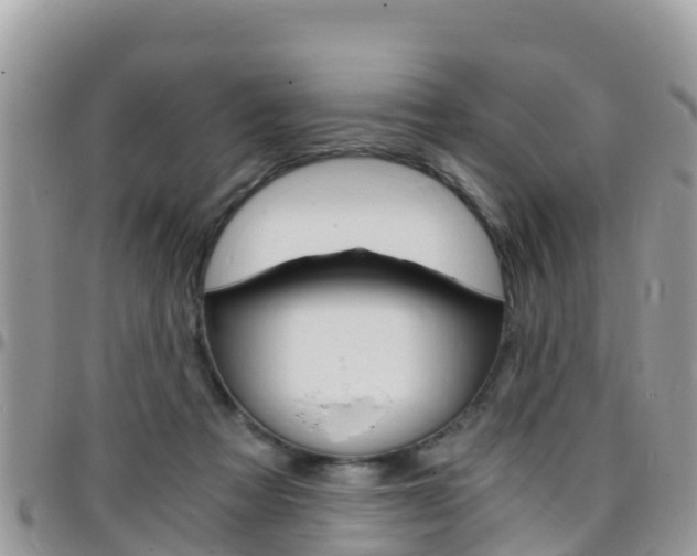 X0000096160313200801180857