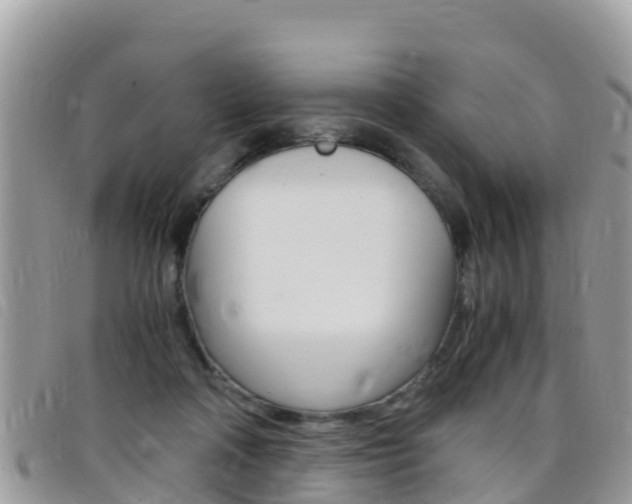 X0000096160314200801180857