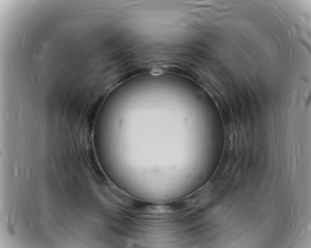 X0000096160316200801180857