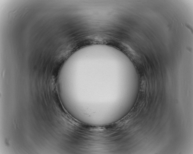 X0000096160318200801180857
